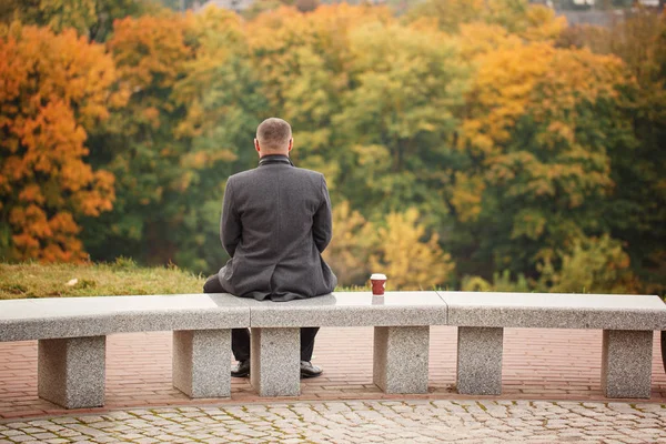 石のベンチに座っていると自然を見ている一人の男 背面図 — ストック写真