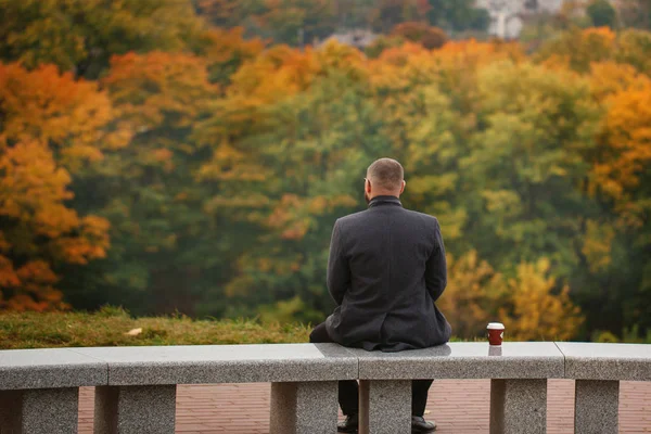 石のベンチに座っていると自然を見ている一人の男 背面図 — ストック写真