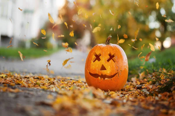 Halloween Esculpida Abóbora Outono Folhas Natureza Fundo — Fotografia de Stock