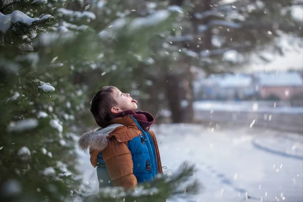 Bebé Bonito Que Pega Flocos Neve Boca Dia Inverno Menino — Fotografia de Stock