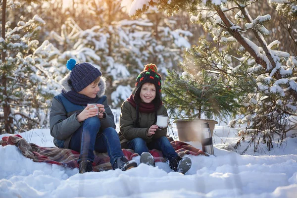 Família Feliz Dois Irmãos Uma Caminhada Inverno Livre Bebendo Chocolate — Fotografia de Stock