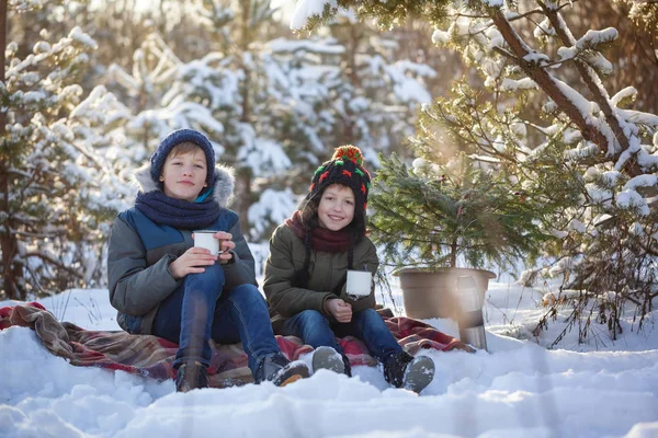 Familia Feliz Dos Hermanos Paseo Invierno Aire Libre Beber Chocolate —  Fotos de Stock