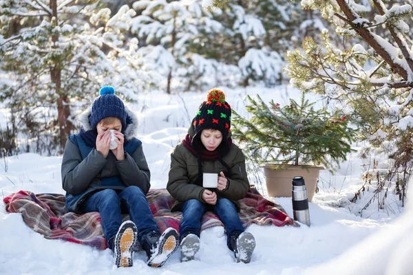 Adorables Dos Hermanos Sentados Cuadros Bebiendo Chocolate Soleado Día Invierno —  Fotos de Stock