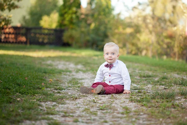 Cute Playful Smiled Blond Years Old Boy Sitting Green Grass — Stock Photo, Image
