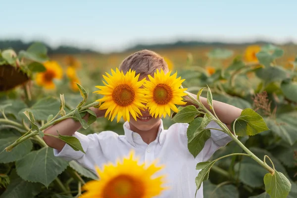 Ayçiçeği Yaz Ayçiçeği Alanı Ile Portre Sevimli Çocuk Çocuklar Mutluluk — Stok fotoğraf