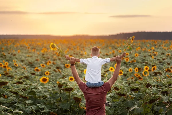 Happy Family Father His Son Shoulders Standing Sunflower Field Sunset — Stock Photo, Image