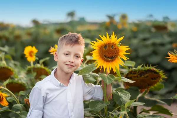 Portret Urocze Dziecko Słonecznikiem Dziedzinie Lato Słonecznika Pojęcie Szczęścia Dzieci — Zdjęcie stockowe
