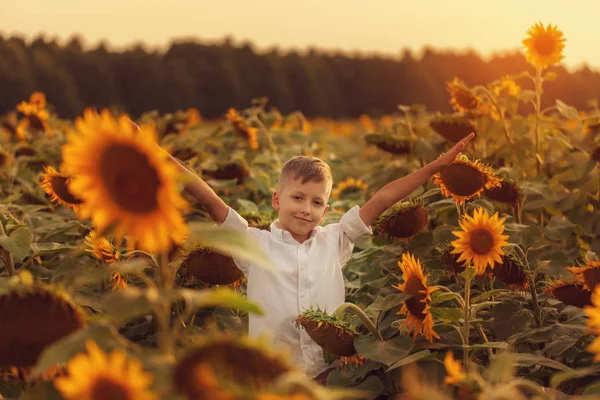 Portrait Adorable Child Sunflower Summer Sunflower Field Kids Happiness Concept — Stock Photo, Image