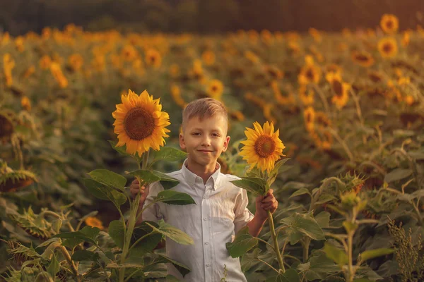 Portrait adorable child with sunflower in summer sunflower field. Kids happiness concept