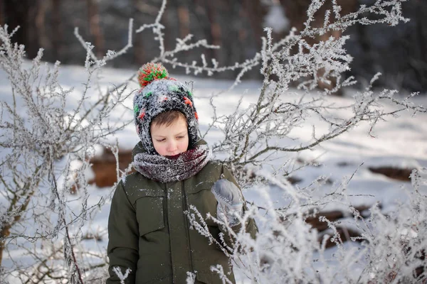Portrait Cute Little Boy Warm Clothes Playing Outdoors Snowfall Winter — Stock Photo, Image