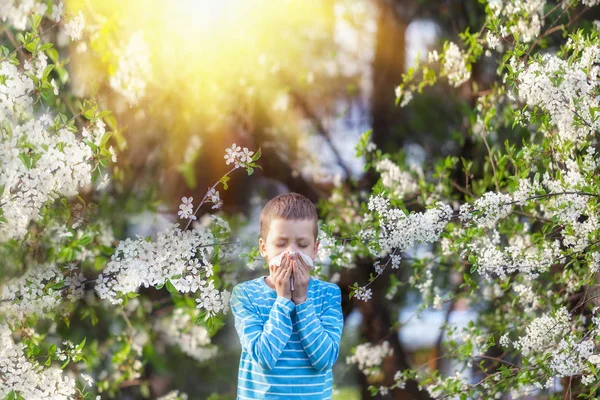 Мальчик Чихает Парке Фоне Цветущего Дерева Потому Аллергия Аллергия Пыльцу — стоковое фото
