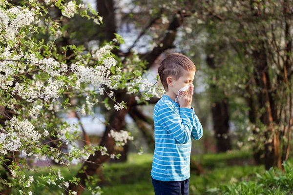 Мальчик Чихает Парке Фоне Цветущего Дерева Потому Аллергия Аллергия Пыльцу — стоковое фото