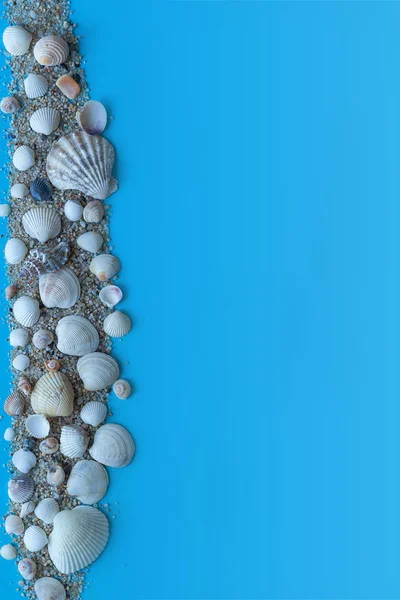Морские ракушки и морской песок на синем фоне . — стоковое фото