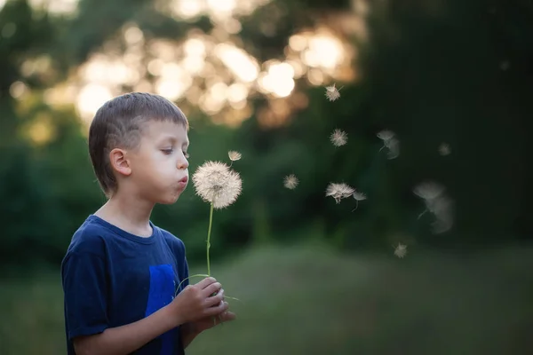 Ritratto bambino all'aperto in natura soffia un dente di leone alla soleggiata serata estiva . — Foto Stock