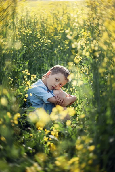 Dissatisfied preschooler boy sitting in the tall grass, propping face with hands and looking at camera — Stock Photo, Image