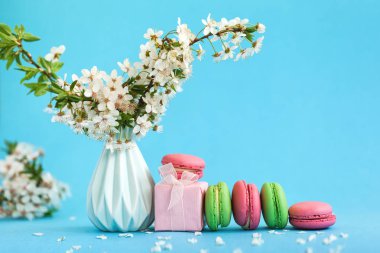 Mavi vazo ve pembe hediye kutusu ve mavi arka plan üzerinde Fransız renkli macaroons Kiraz çiçekleri.