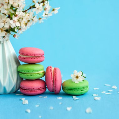 Mavi vazo ve pembe hediye kutusu ve mavi arka plan üzerinde Fransız renkli macaroons Kiraz çiçekleri.