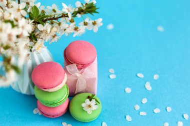 Mavi vazo ve pembe hediye kutusu ve mavi arka plan üzerinde Fransız renkli macaroons Kiraz çiçekleri.