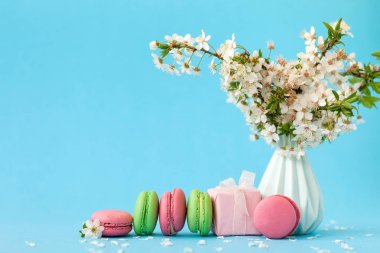 Mavi vazo ve pembe hediye kutusu ve mavi arka plan üzerinde Fransız renkli macaroons Kiraz çiçekleri.