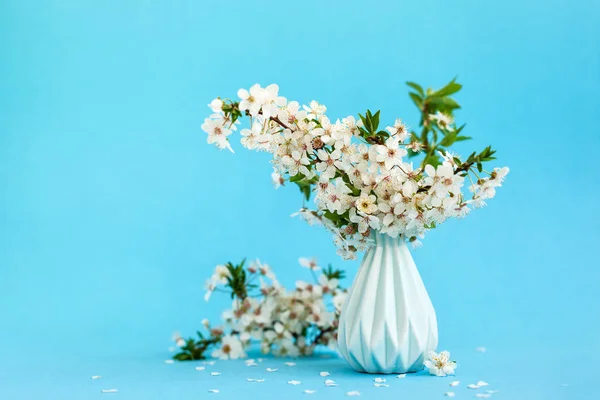 Flores de cereza en jarrón azul sobre fondo azul. Bodegón con flores blancas . — Foto de Stock