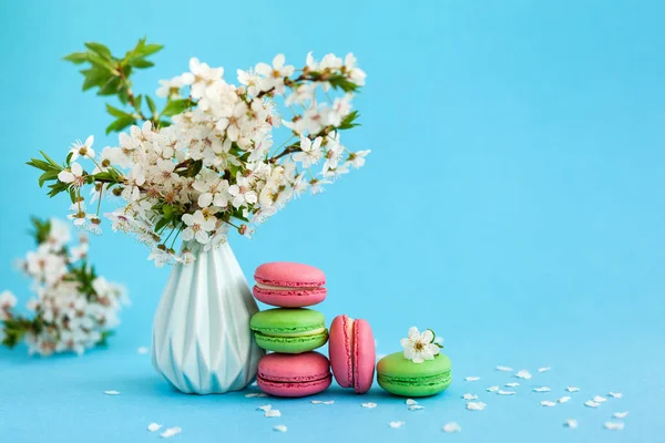Цветы вишни в голубой вазе и розовой подарочной коробке и французские красочные макароны на голубом фоне . — стоковое фото