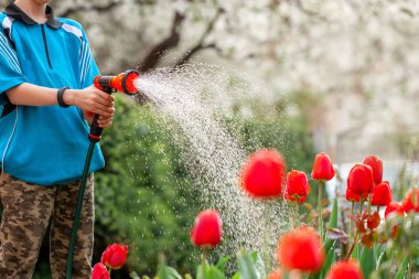 Sevimli çocuk hortumdan bitkiler sulama, bahçede bir yağmur yapar. Çocukların çiçek yetiştirmesine yardım etmesi.