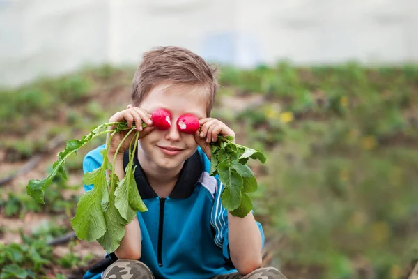 Маленький ребенок ест свежую спелую редьку в саду . — стоковое фото