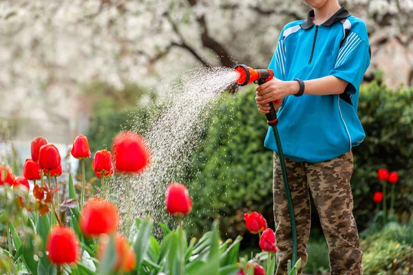 Cute Boy podlewania roślin z węża, sprawia, że deszcz w ogrodzie. Dziecko pomaga rodzicom rosnąć kwiaty. — Zdjęcie stockowe
