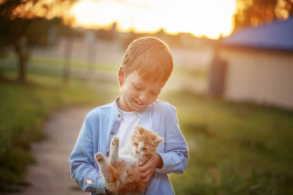 Ragazzo felice con un gattino tra le mani in natura in estate . — Foto Stock