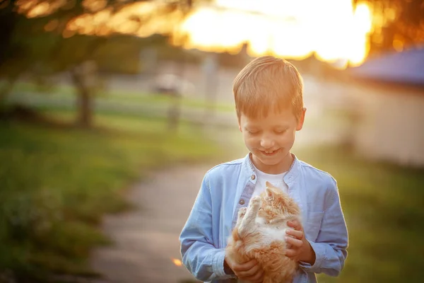 Ragazzo felice con un gattino tra le mani in natura in estate . — Foto Stock