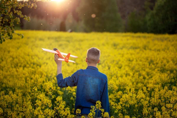 かわいい少年は、夏の日没に彼の手におもちゃの飛行機を保持します。バックビュー. — ストック写真