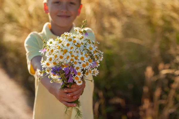 Little kid boy holding bouquet of fields camomile flowers in summer day. Child giving flowers — Stock Photo, Image