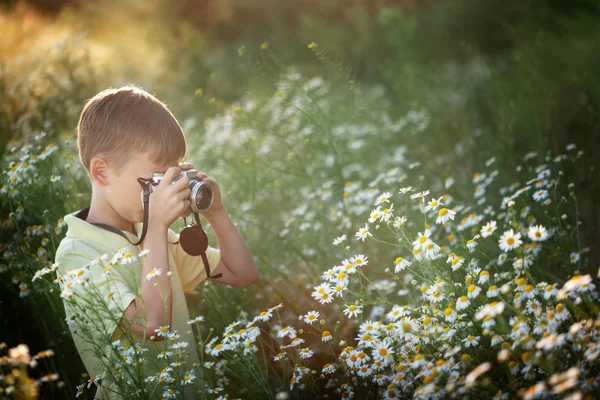 Sevimli çocuk fotoğrafçı doğada kamera çekimleri. Çocuk papatya çiçekleri alanında bir fotoğraf çeker. — Stok fotoğraf