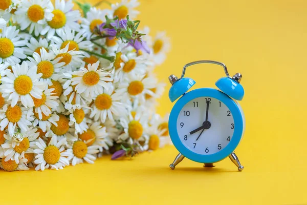 花束カモミールと黄色の背景に青い目覚まし時計. — ストック写真