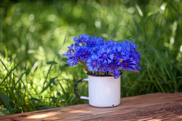 Летний красивый букет голубых кукурузных цветов в белом горшке на фоне природы . — стоковое фото
