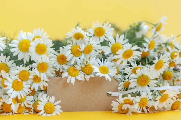 Fiori di camomilla con tag vuoto su sfondo giallo. Concetto festivo. Spazio per testo . — Foto Stock