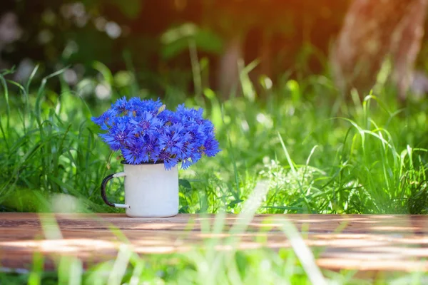 Летний красивый букет голубых кукурузных цветов в белом горшке на фоне природы . — стоковое фото