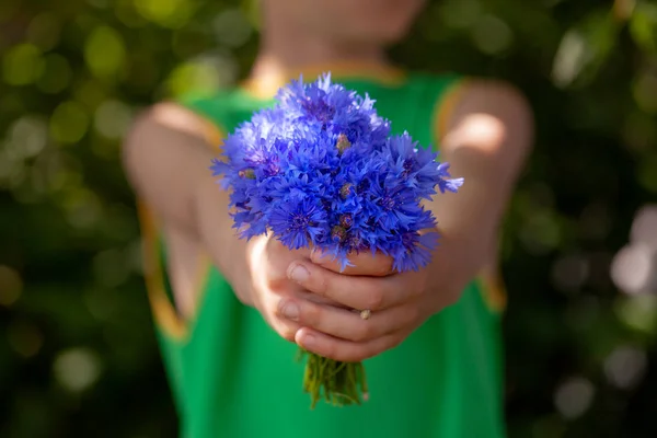 Ragazzino che tiene mazzo di campi di fiordaliso blu nel giorno d'estate. Bambino che dà fiori . — Foto Stock
