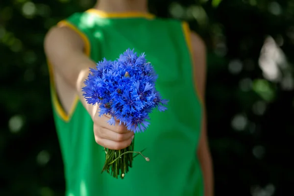 Niño pequeño sosteniendo ramo de campos flores de maíz azules en el día de verano. Niño dando flores . —  Fotos de Stock