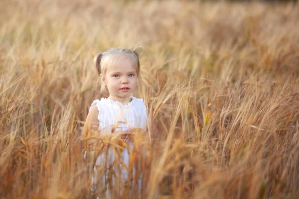 Милая маленькая девочка в белом платье на поле ржи в летний день . — стоковое фото