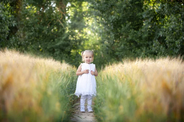 Carino bambina in abito bianco sul campo di segale nel giorno d'estate . — Foto Stock