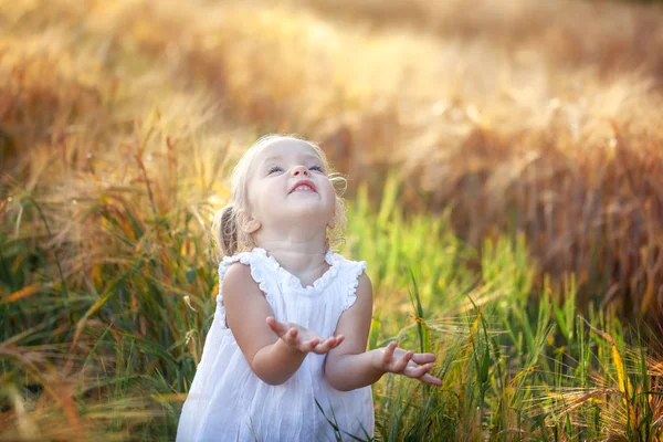 Roztomilá holčička v bílých šatech na poli žita v letním dnu. — Stock fotografie