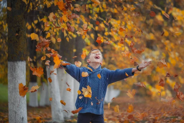 Przystojny szczęśliwy chłopiec rzuca opadłe liście w górę, bawiąc się w jesiennym parku. — Zdjęcie stockowe