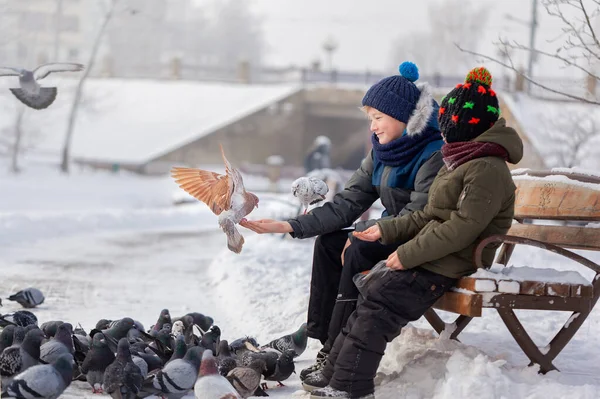 Два брата кормят птиц в зимнем парке . — стоковое фото