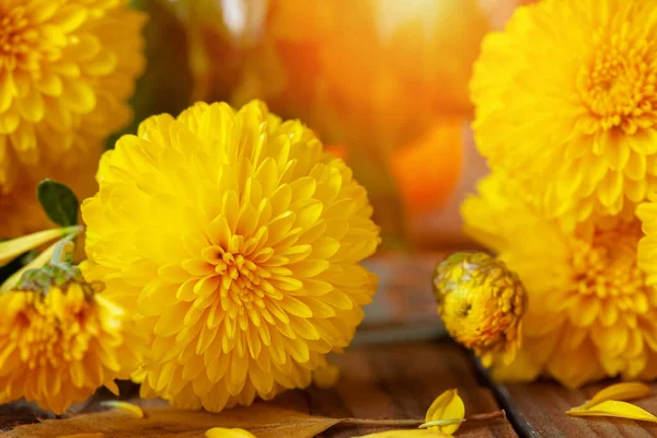 Yellow Chrysanthemums Wooden Table Autumn Floral Still Life Background — Stock Photo, Image