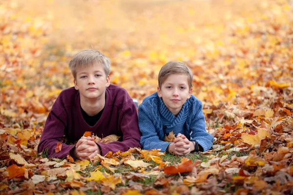 Dos Hermanos Menores Tumbados Hojas Otoño Felices Hermanos Niños Divirtiéndose —  Fotos de Stock