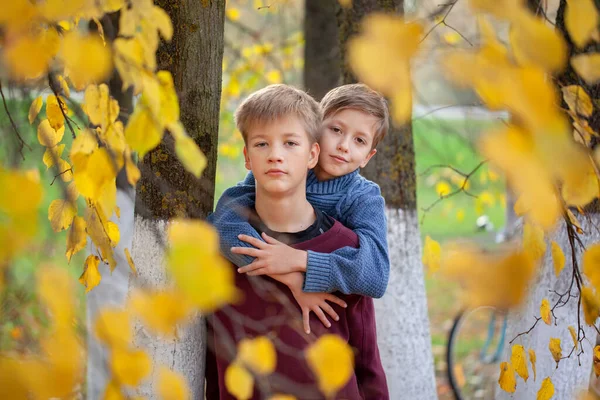 两个弟弟躺在秋天的树叶里 快乐的兄弟姐妹们 孩子们 在秋天温暖的森林或公园里玩得开心 — 图库照片
