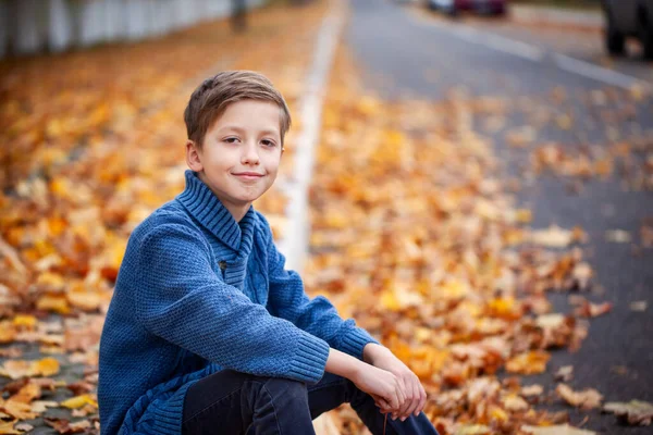 Retrato Chico Guapo Sentado Hojas Otoño Niño Feliz Divirtiéndose Parque —  Fotos de Stock