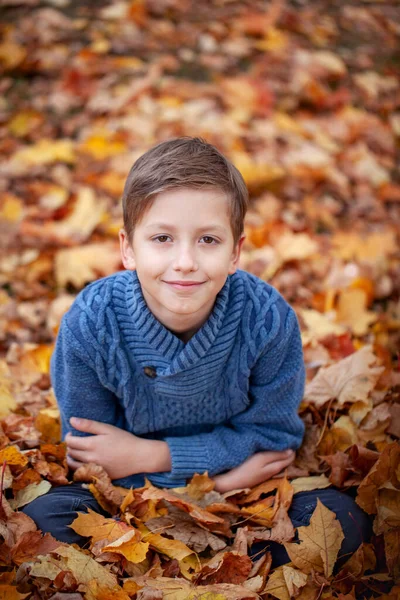 Portrait Handsome Boy Sitting Autumn Leaves Happy Kid Having Fun Stock Photo