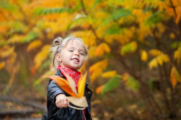 Felice Sorridente Ragazza Bionda Che Tiene Foglie Rosse Gialle Nel — Foto Stock